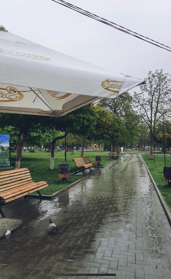 צ'יסינאו Afganskii Park Apartment מראה חיצוני תמונה